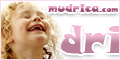 Mudrica